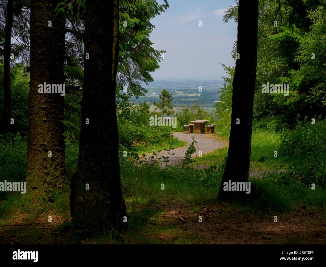 Staple hill the highest point on the Blackdown Hills, Somerset, UK
