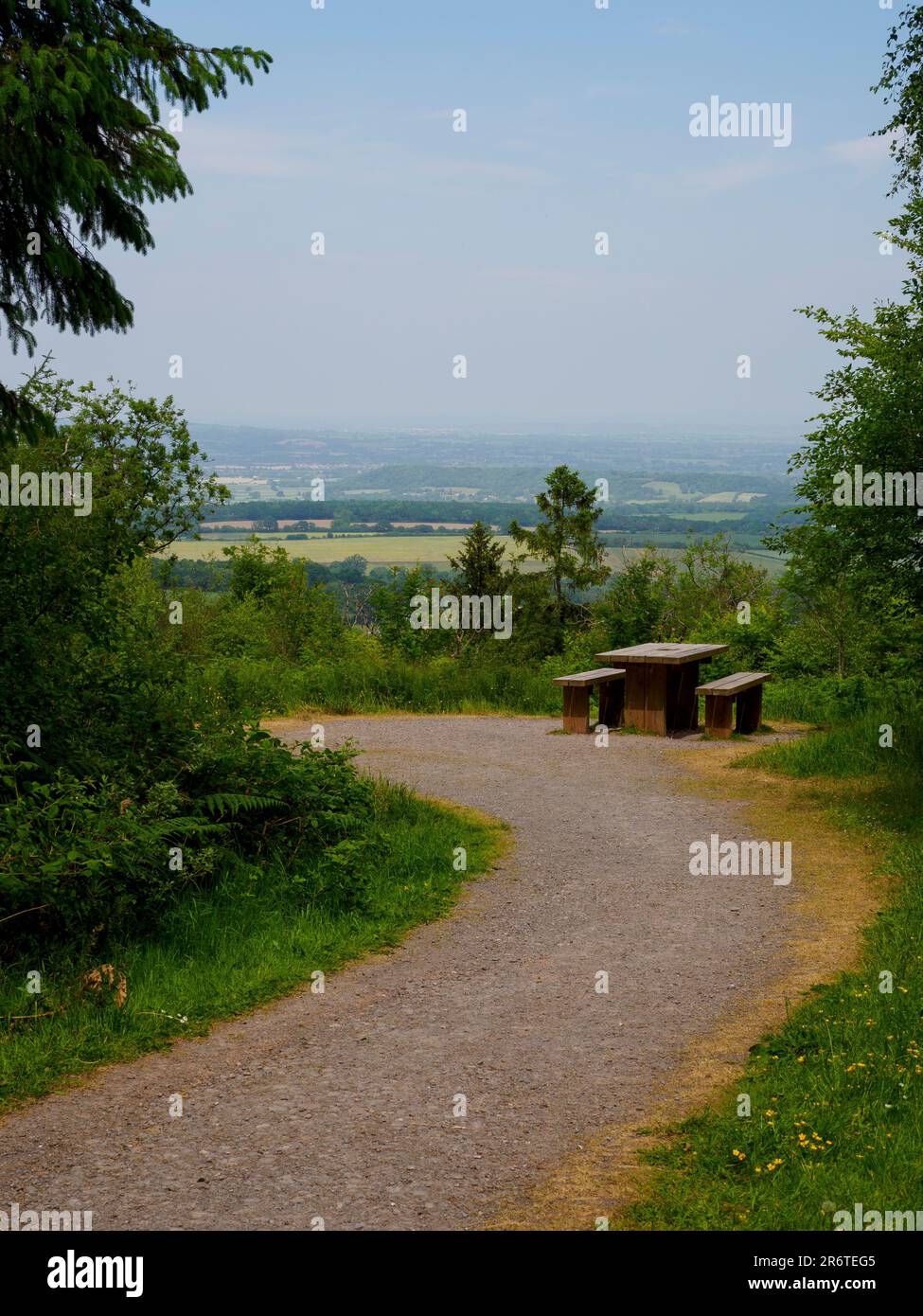 Picnic bench at the viewpoint on Staple hill the highest point on the Blackdown Hills, Somerset, UK Stock Photo