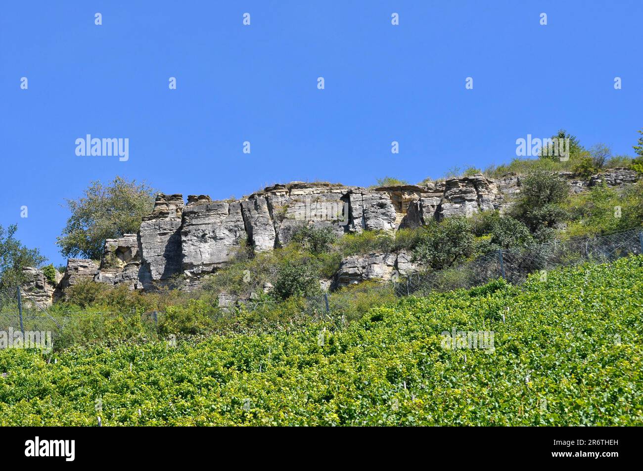 Vinyard Rocks Vineyard with rocks hi-res stock photography and images - Alamy