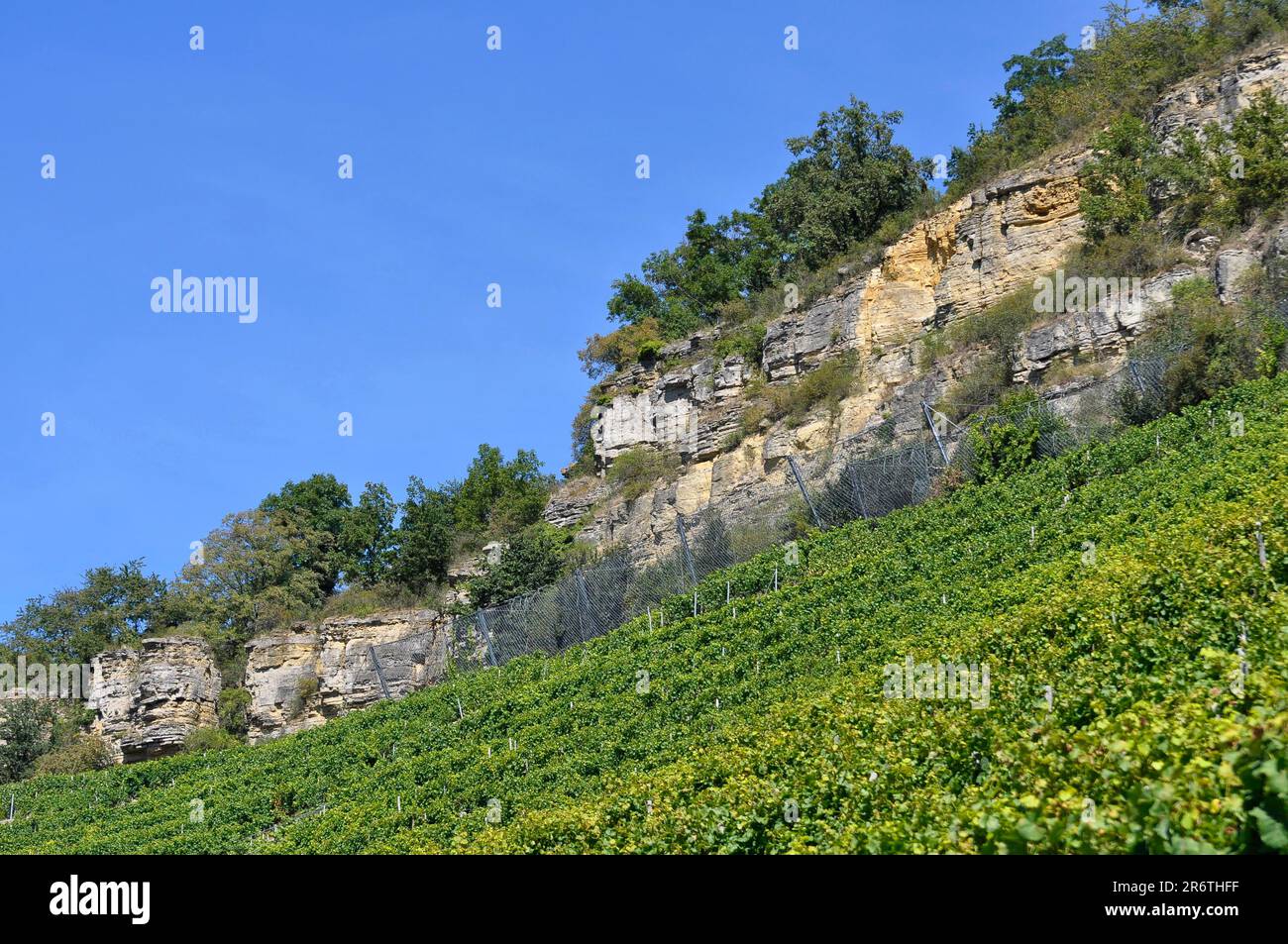 Rock vineyard hi-res stock photography and images - Alamy