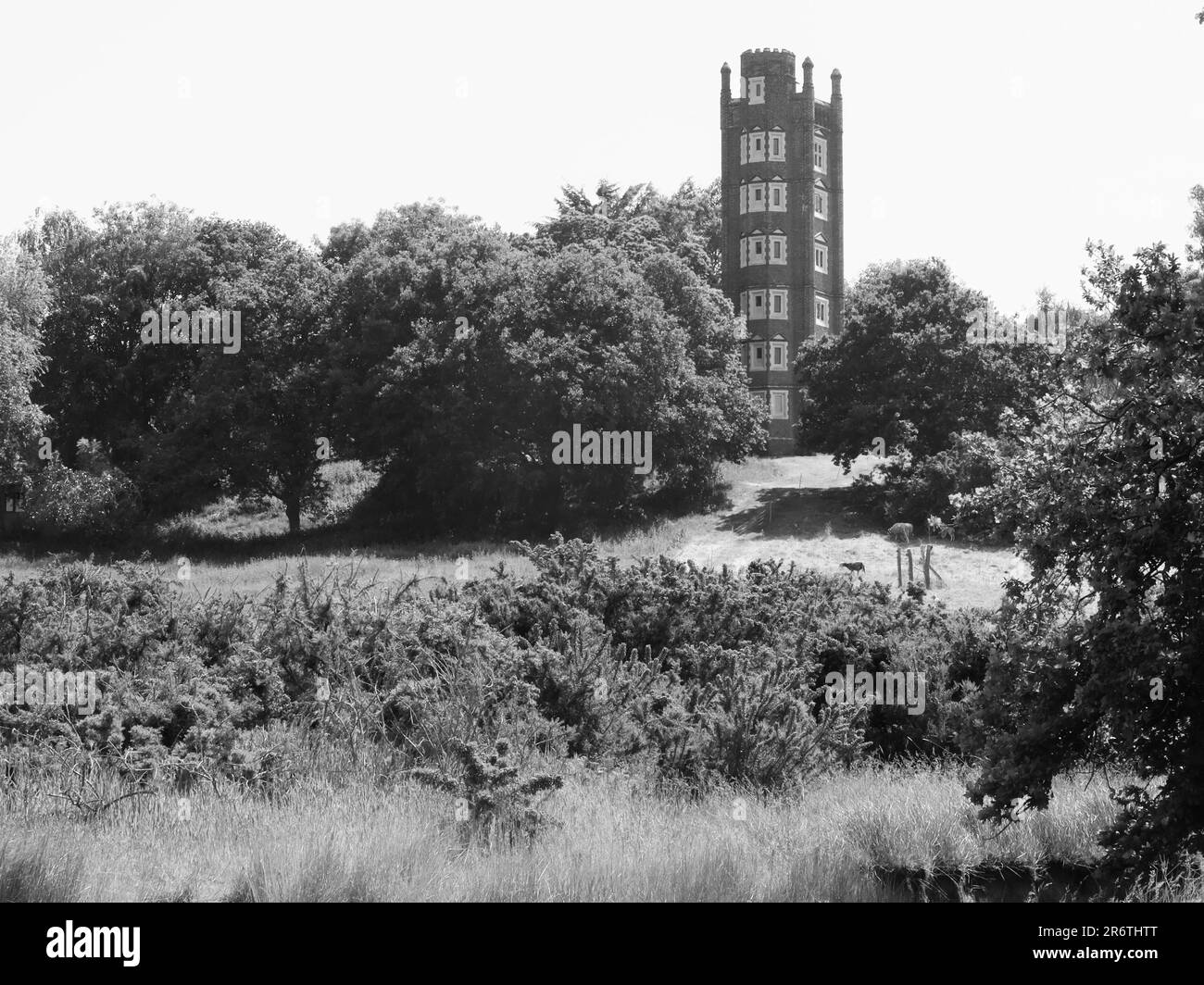Freston, Ipswich, Suffolk - 11 June 2023 : Freston Tower, six storey accomodation with great views of the River Orwell. Mono image. Stock Photo