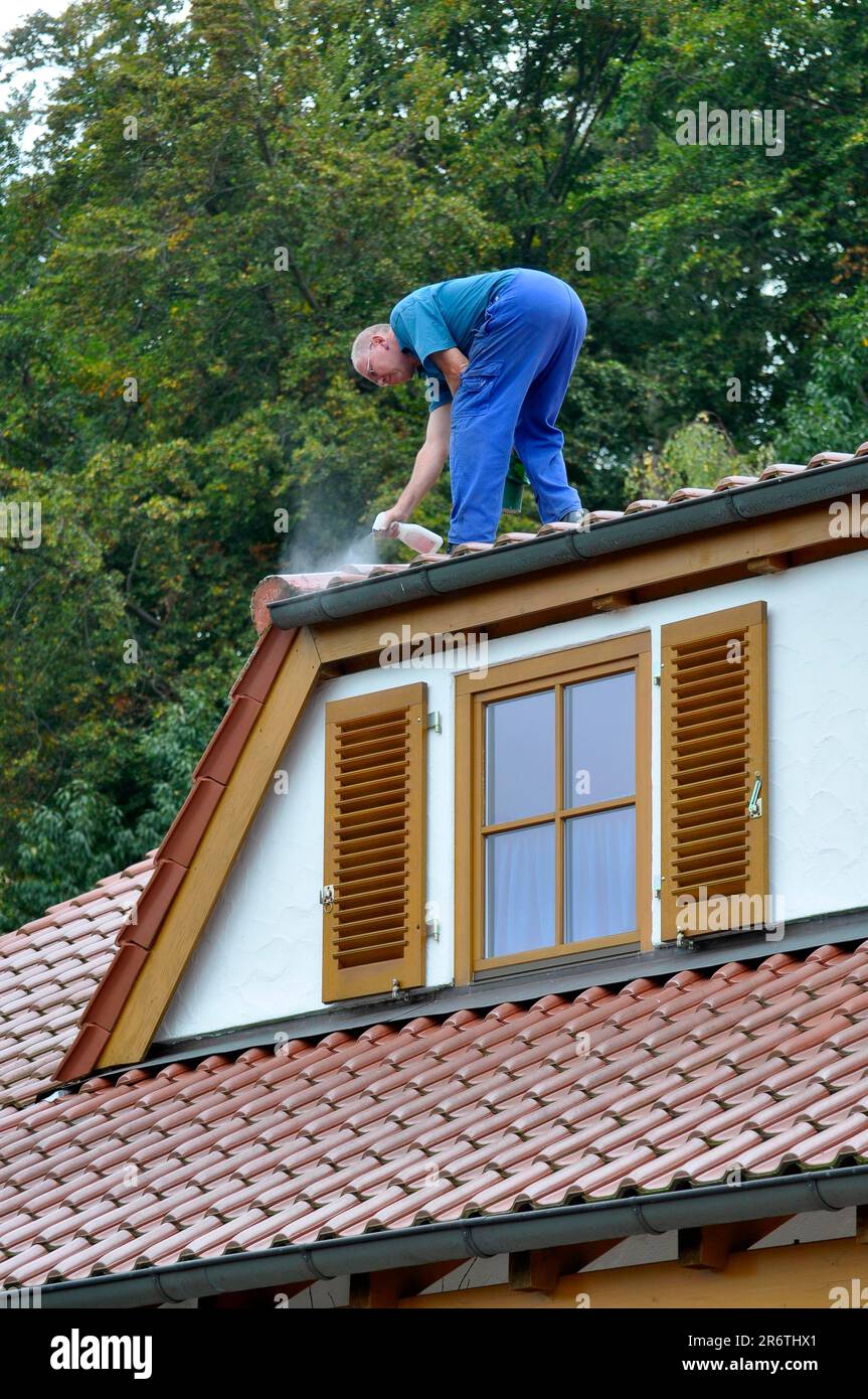 Craftsman on roof Stock Photo - Alamy