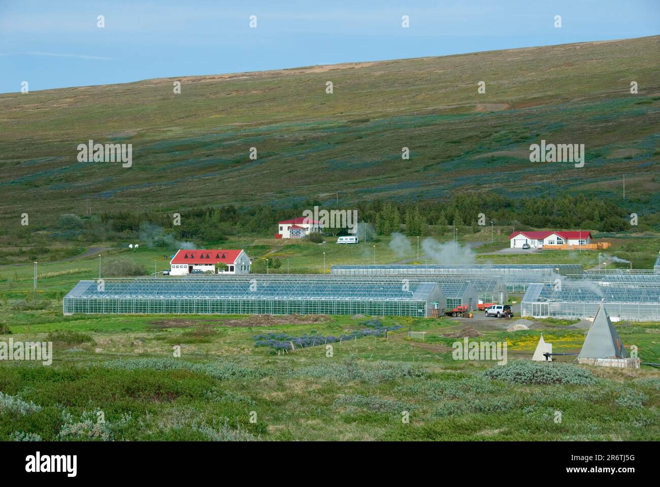 Greenhouses, Hveravellir, geothermal area, road 87, near Rein, Iceland Stock Photo
