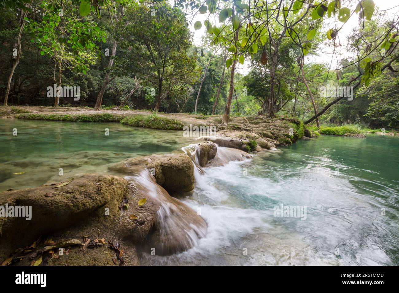 Tropical river in the green jungle Stock Photo - Alamy