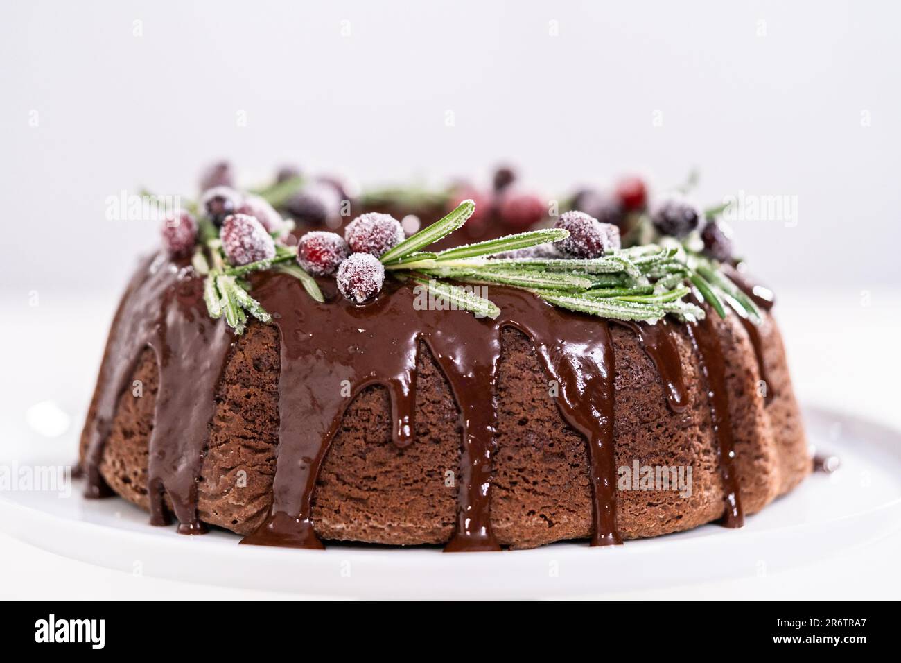 https://c8.alamy.com/comp/2R6TRA7/chocolate-bundt-cake-2R6TRA7.jpg