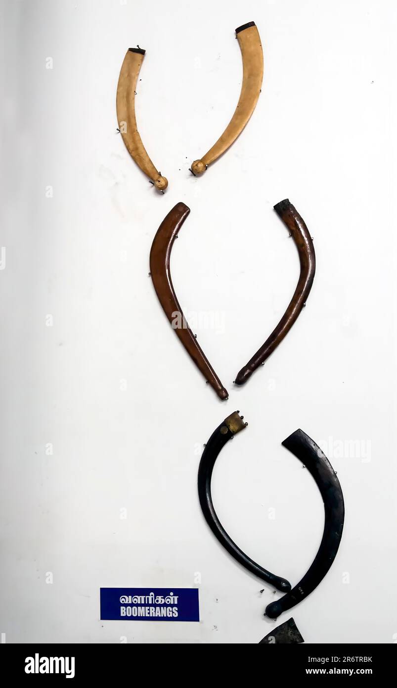 Boomerang is a flying tool with a curved shape. It can be 