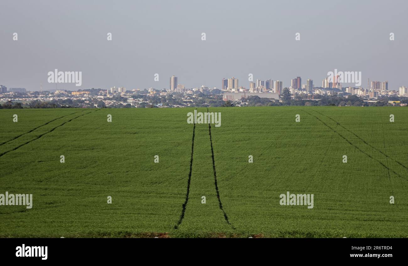 Control de campo hi-res stock photography and images - Alamy