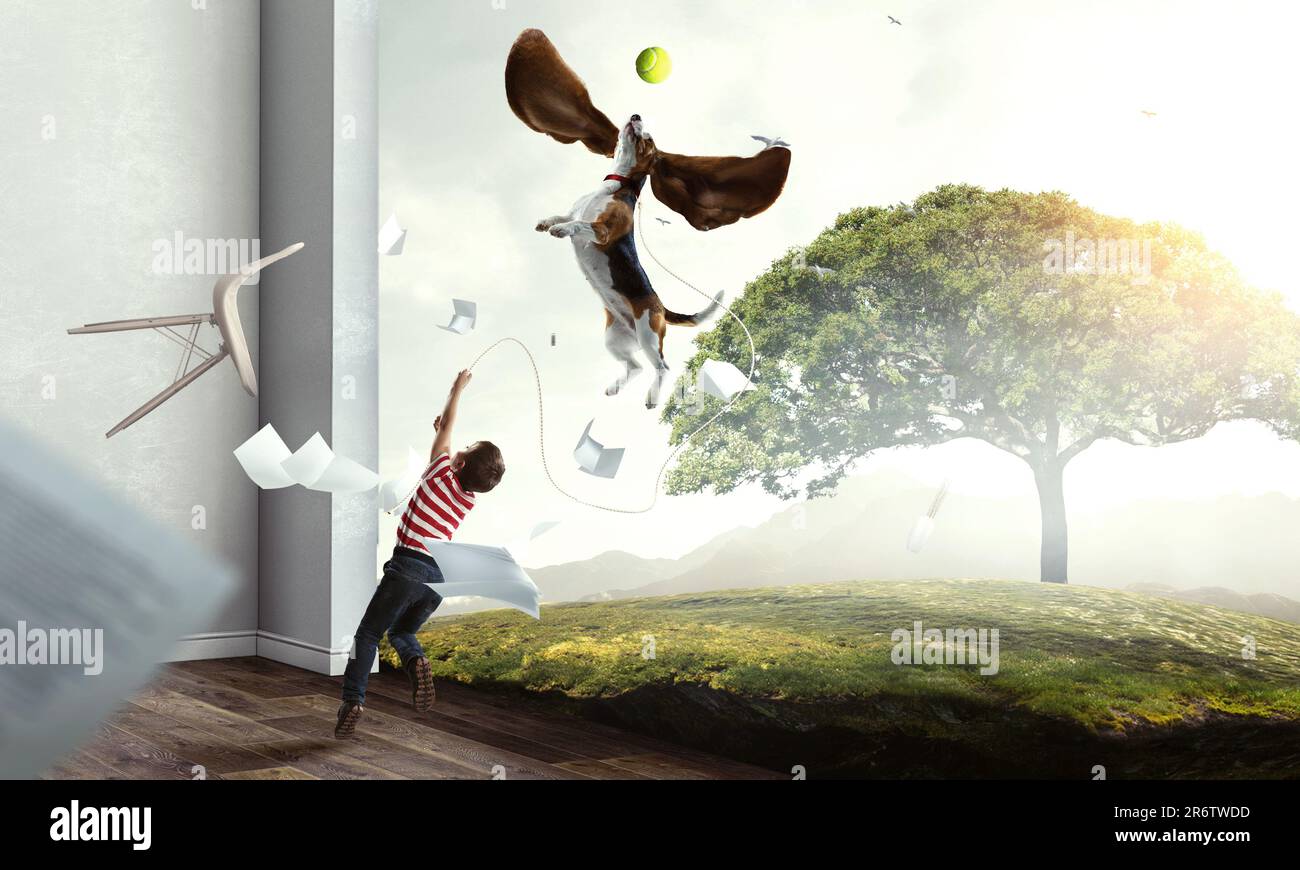 Boy with a dog flying through the air with his ears Stock Photo Alamy