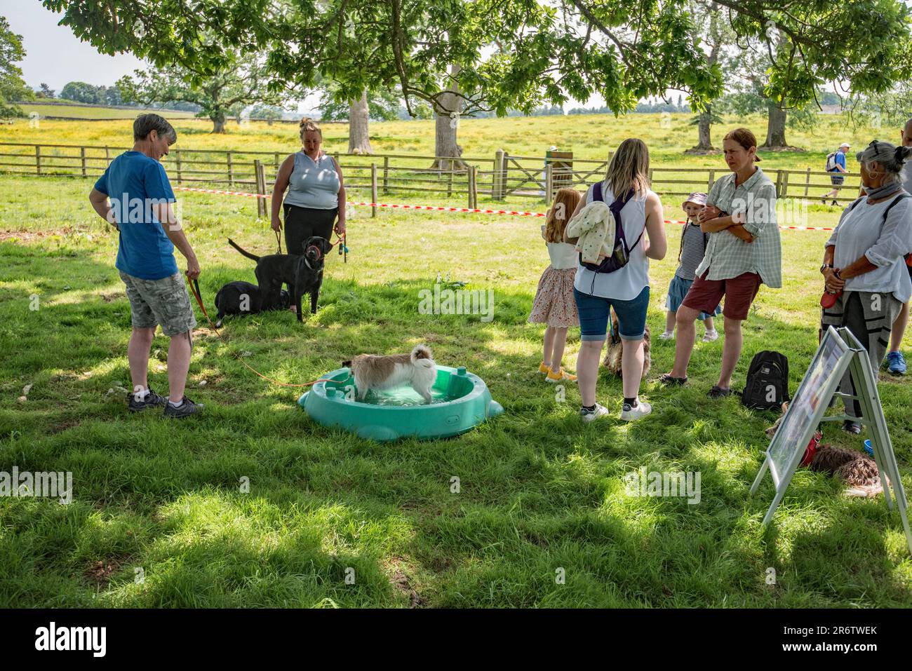 Fun dog show and open fun dog agility sessions cappelside hi-res stock ...