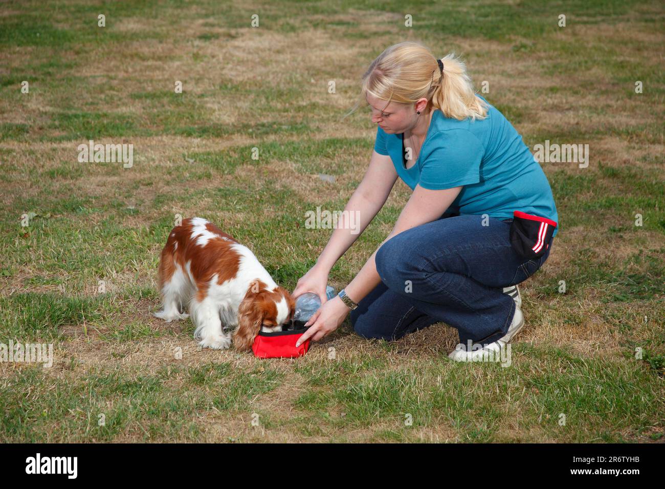 Woman Gives Cavalier King Charles Spaniel Blenheim Water Water