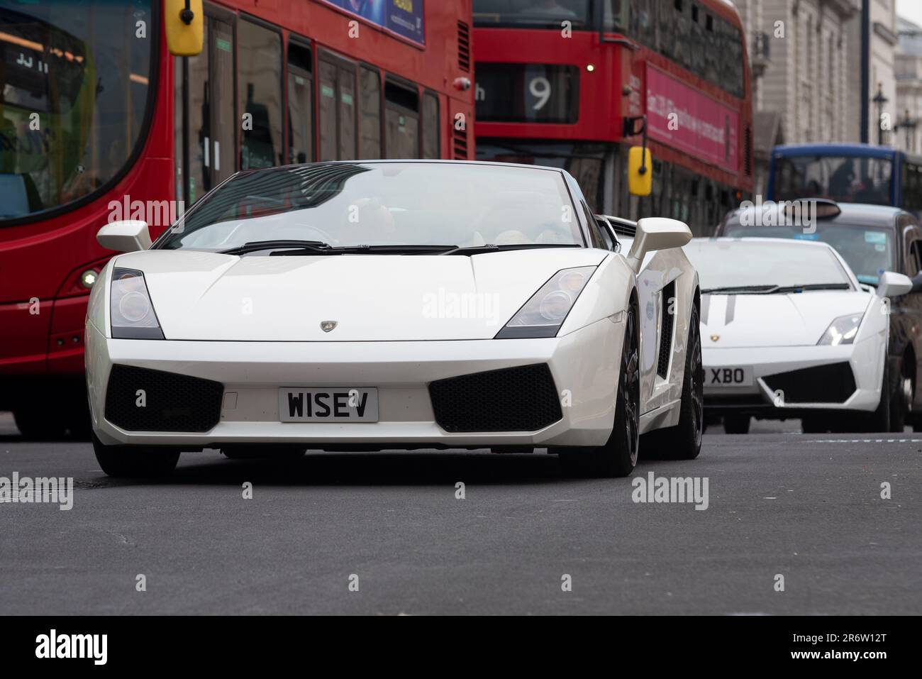 Skateboard Old School Moose - Planche 10x33 Pouces Noir Et Blanc Avec Poignée - Modèle Complet