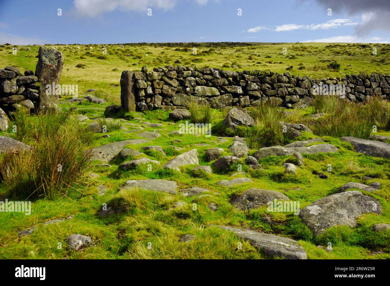 Stone wall, moorland at Two Bridges, Dartmoor National Park, Devon, England, wall Stock Photo