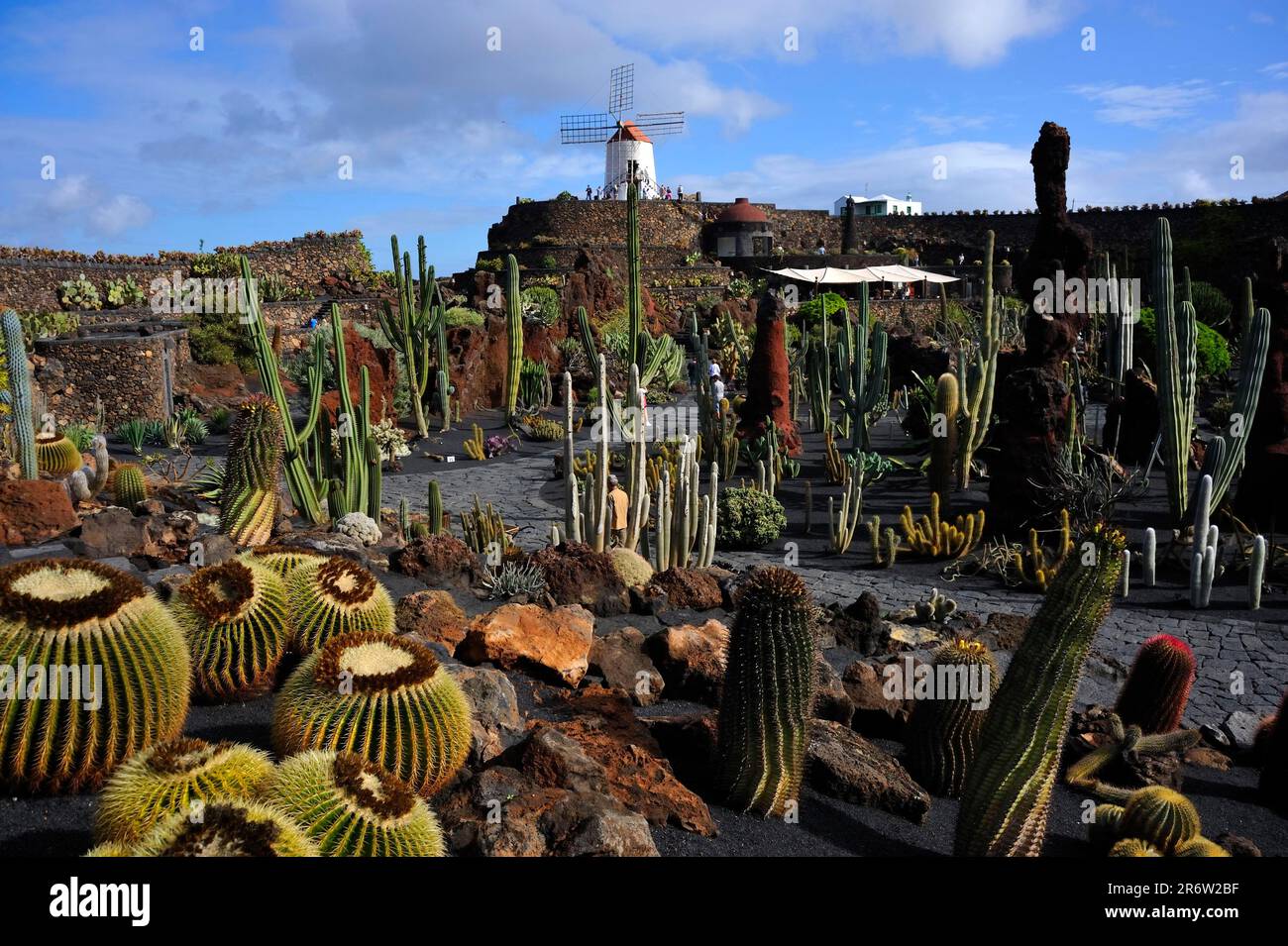Cactus Garden 'Jardin de Cactus', Foundation, Fundacion Cesar Manrique,  Tahiche, Fuerteventura, Canary Islands, Spain Stock Photo - Alamy