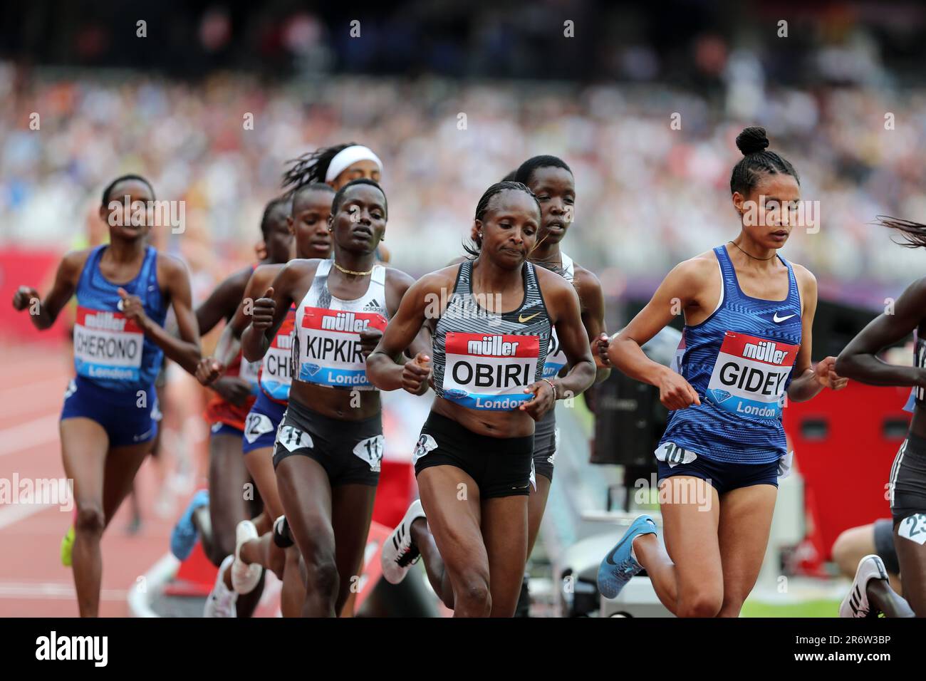 Mening jinsiy boshlangich qismim