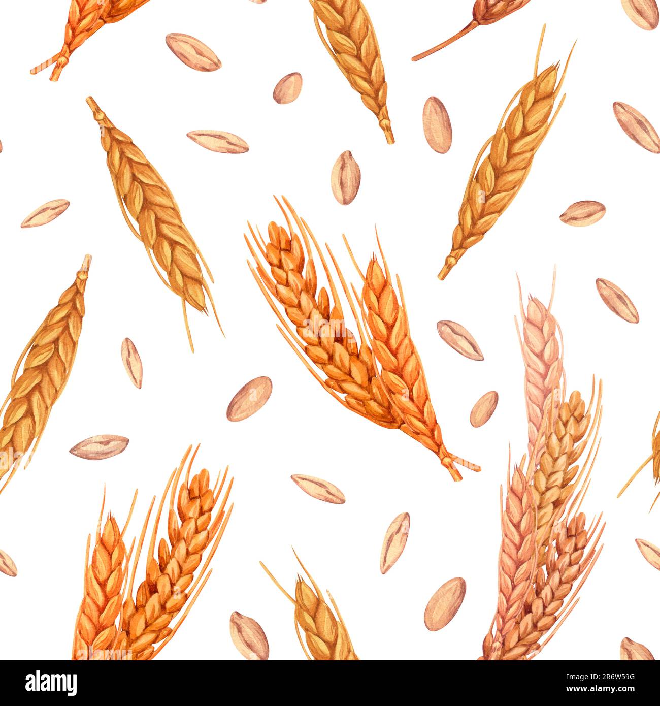 Seamless wheat spikelet pattern. Watercolor herbal background with ...