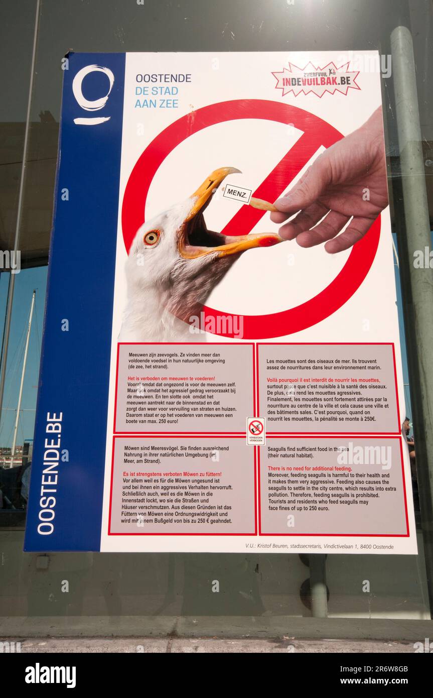 No feeding seagulls sign in Ostend, Flanders, Belgium Stock Photo