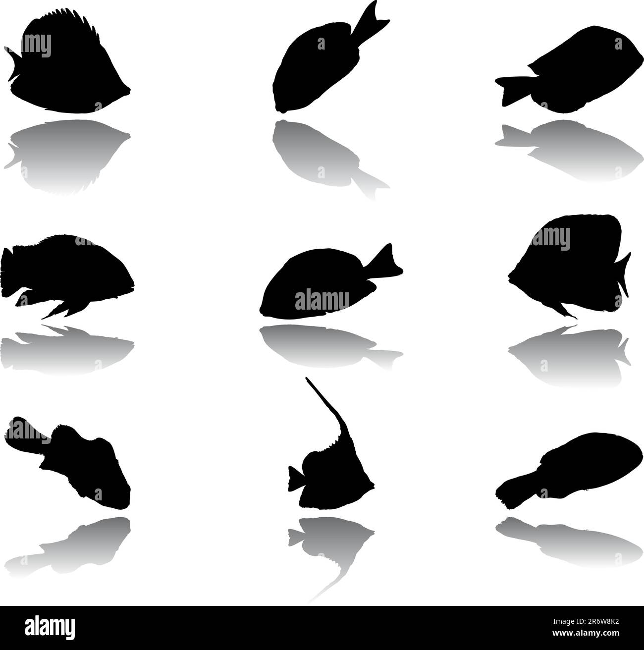 Catch Of Fish Painting Cut Out Stock Images Pictures Alamy cat-weight-diagram