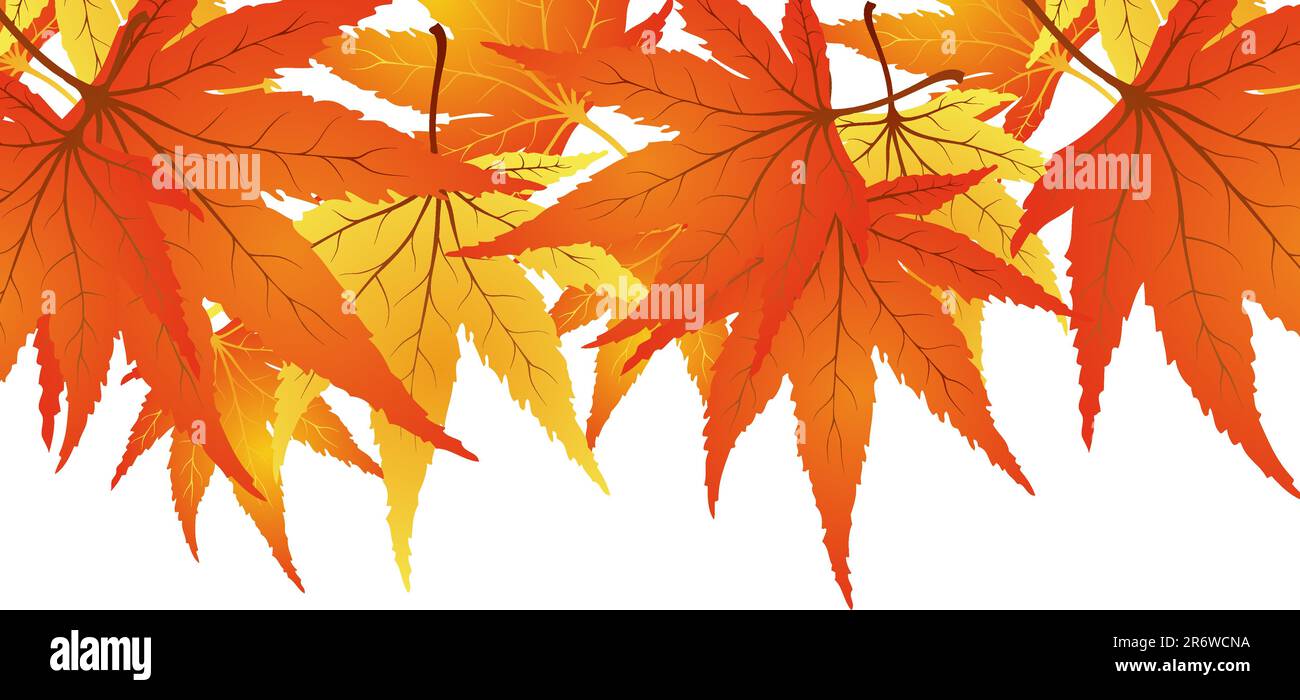 Backgroundframe from  maple  leaves. Vector illustration. Stock Vector