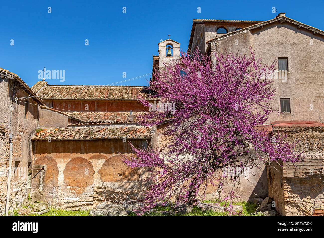 Rome jacaranda tree hi-res stock photography and images - Alamy