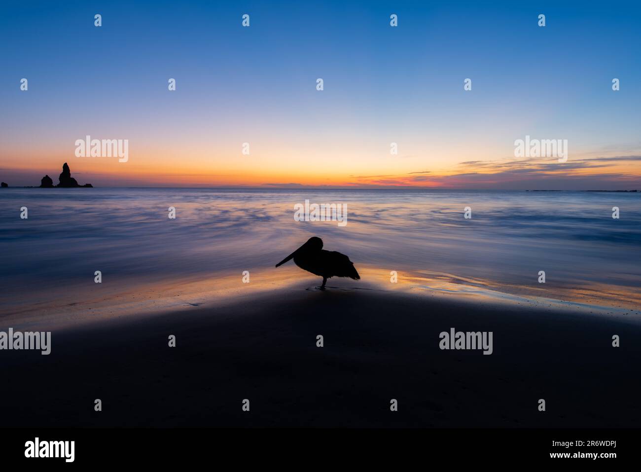 Long exposure of a silhouette of a pelican resting on the beach at sunset in Nicaragua on the pacific ocean Stock Photo
