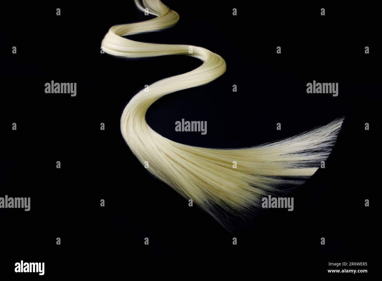 Blond hair,Lock of hair Stock Photo Alamy