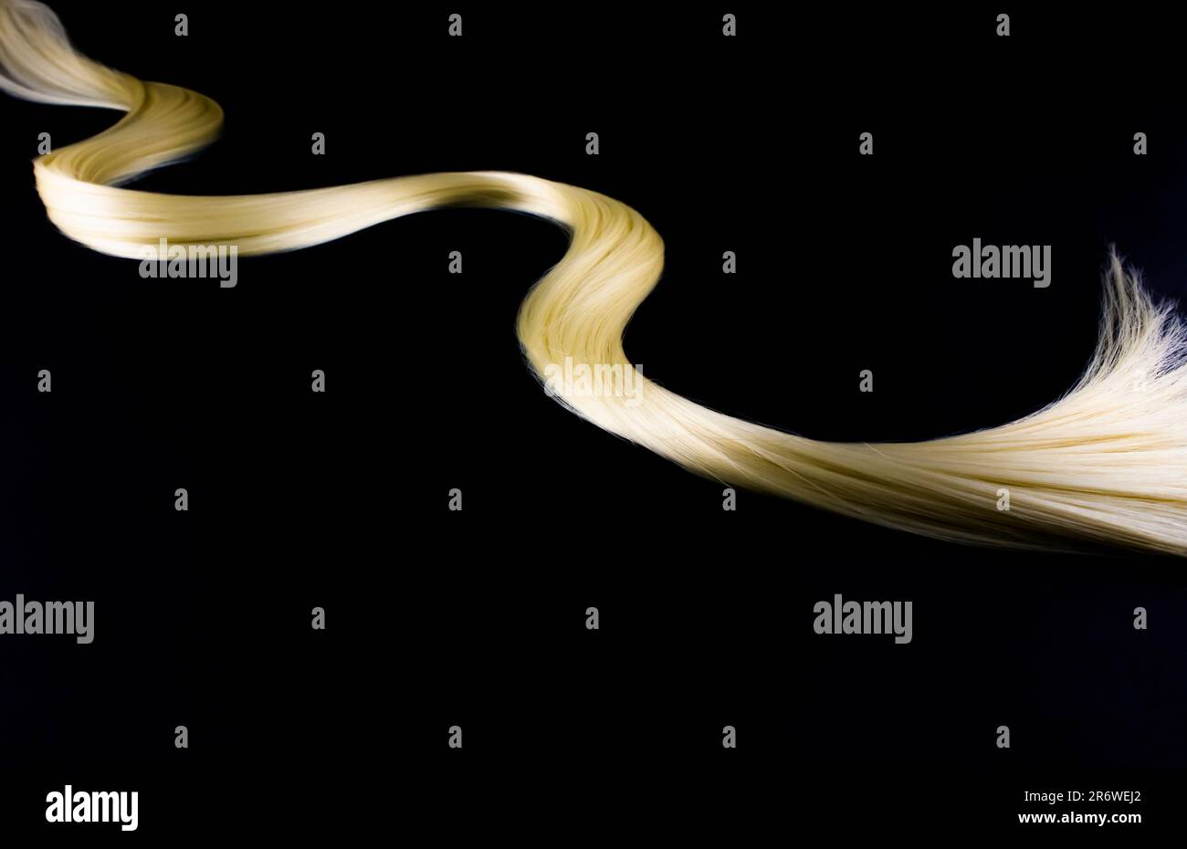 Blond hair,Lock of hair Stock Photo Alamy