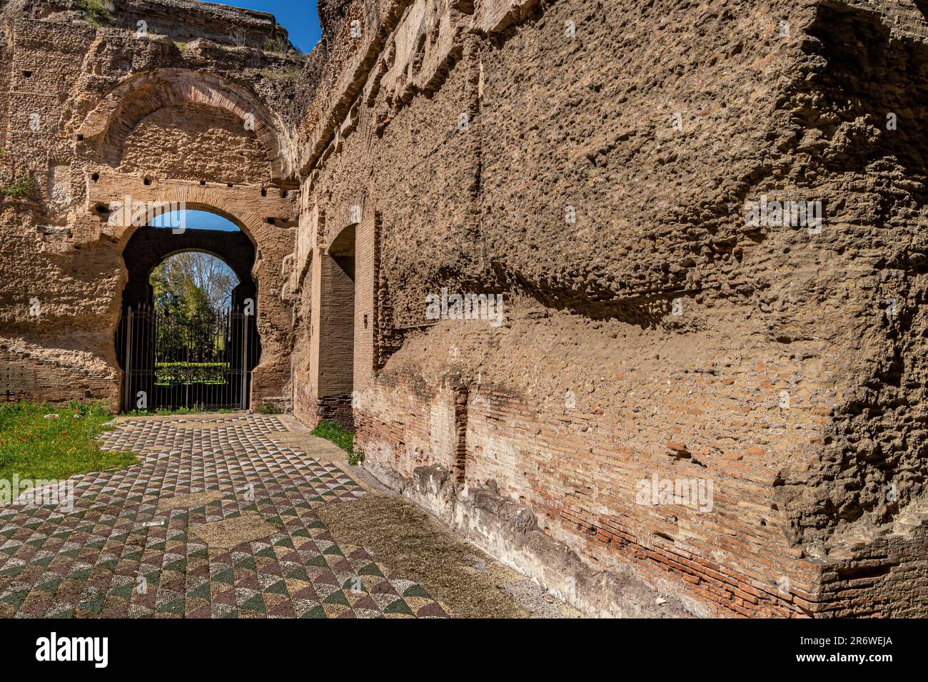 Richly decorated floor mosaics at The Baths Of Caracalla, The Baths of