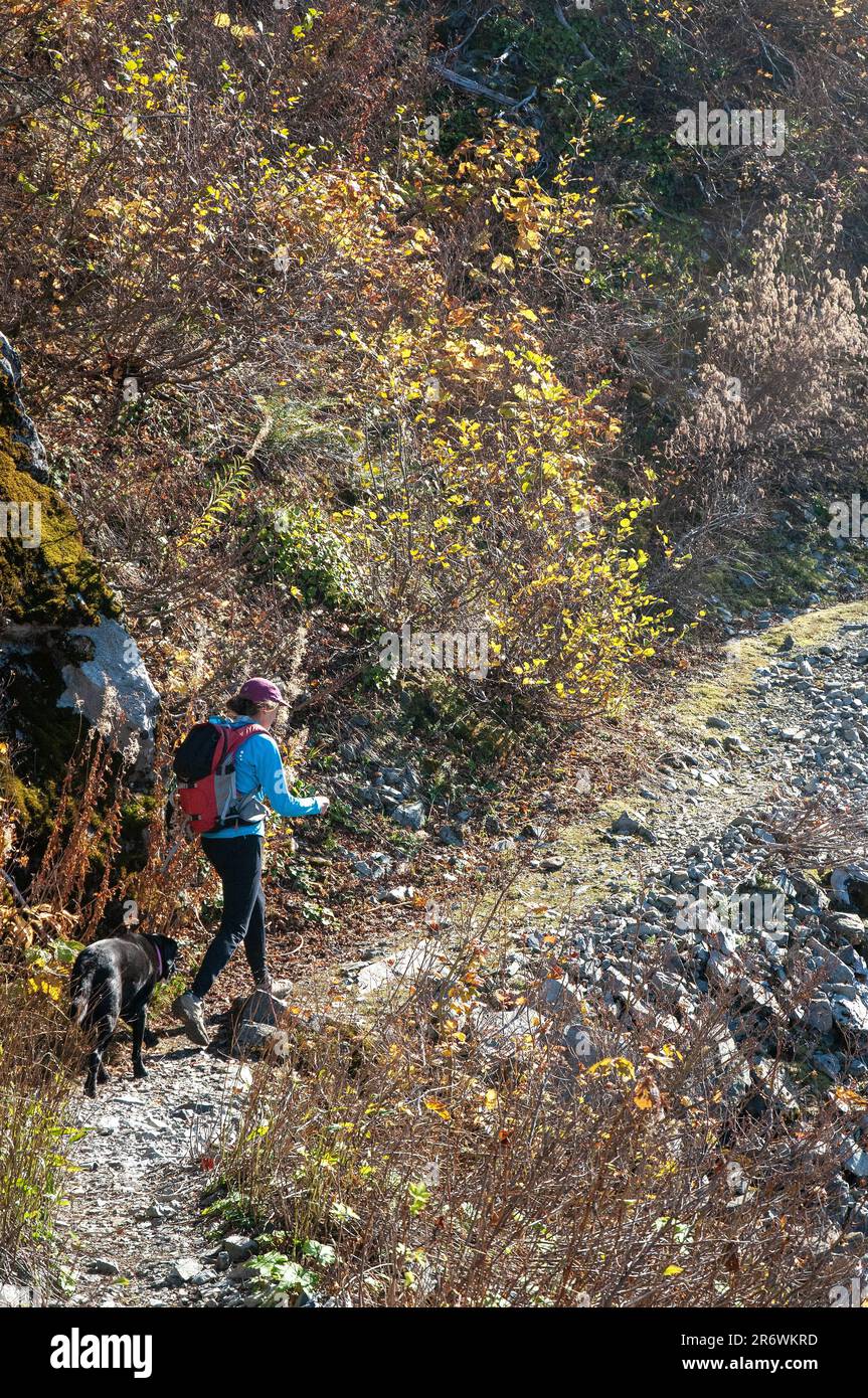 Single adult woman hiking toward, Silver Star Mountain,  Washington. USA Stock Photo