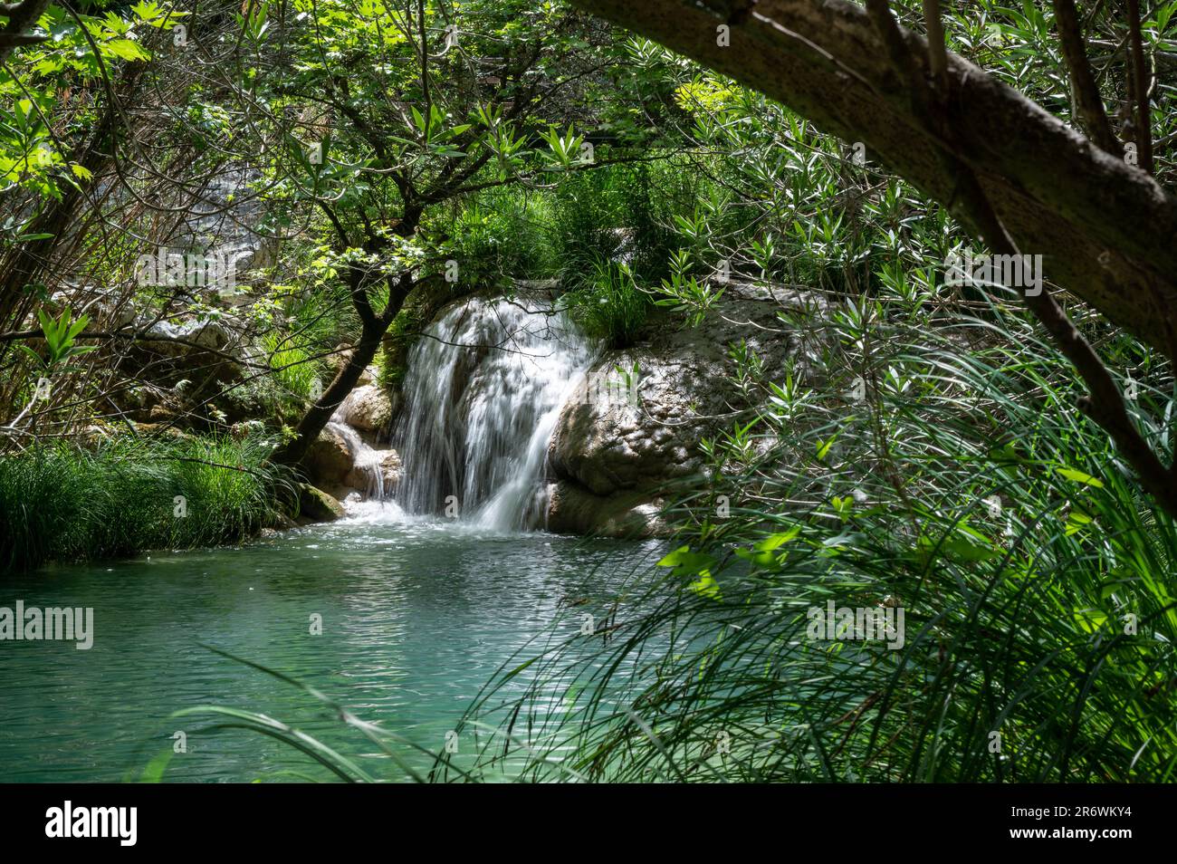 Paradise waterfalls of Polylimnio in the Peloponnese in Greece with crystal clear water and jungle-like forest environment Stock Photo