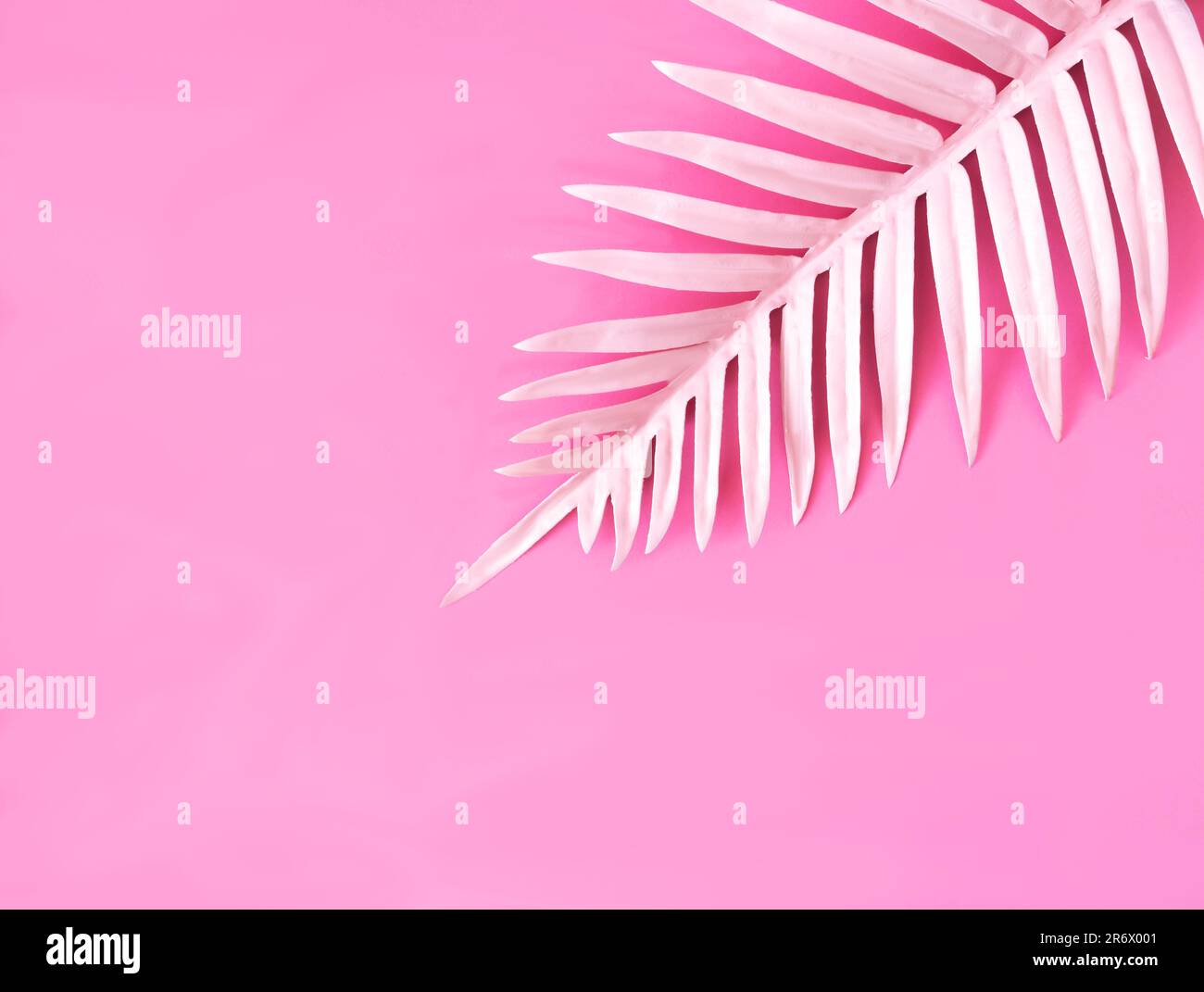 A pastel pink exotic palm leaf on pink background. Minimal surreal concept with copy space for exotic destination hotel resort. Flat lay. Stock Photo