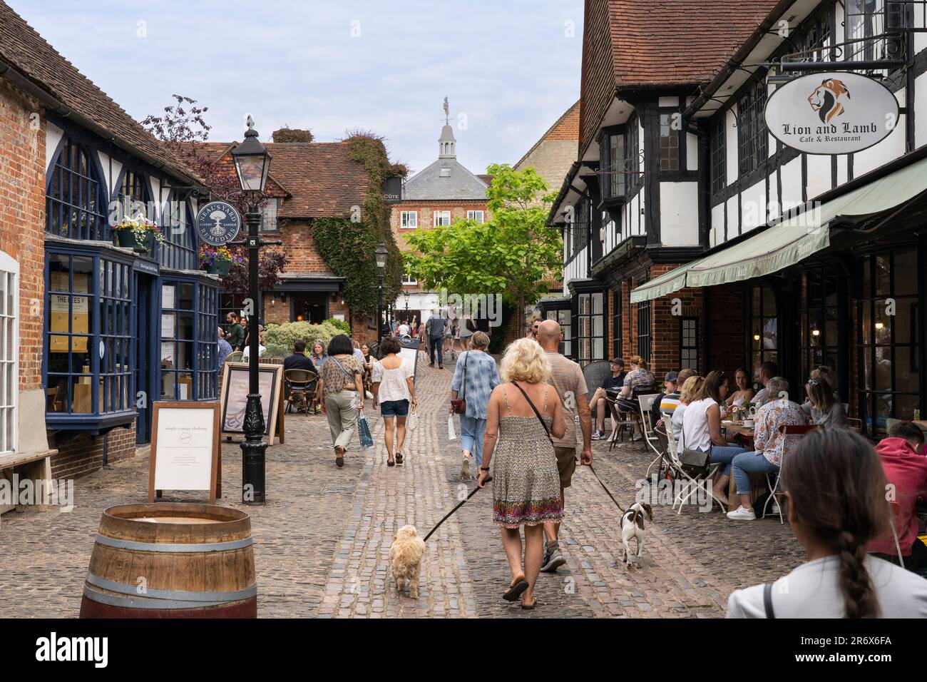 People walking along the pedestrianised Lion and Lamb Yard shopping