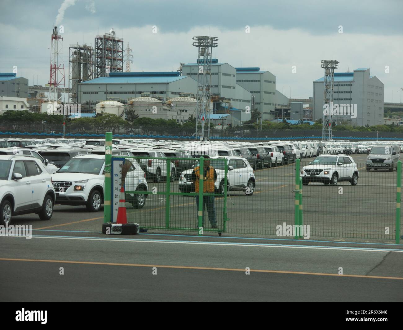 A line of white Hyundai cars being driven from the quayside at the Port of Ulsan to be loaded on board a ship for export from South Korea. Stock Photo