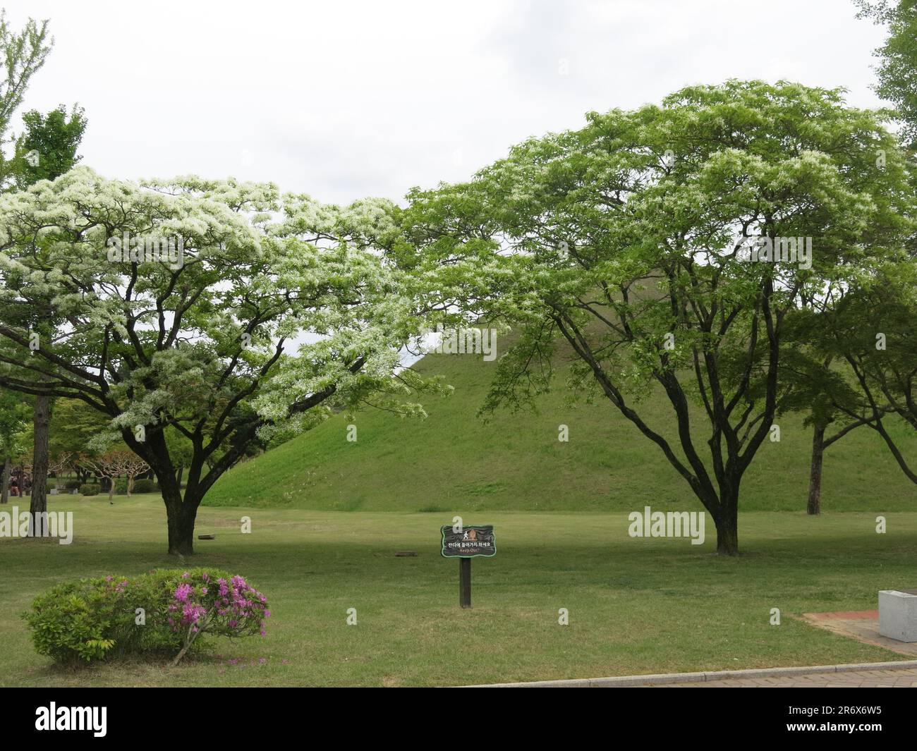 Tumuli Park, Gyeongju: the distinctive grassy hillocks which are the ...