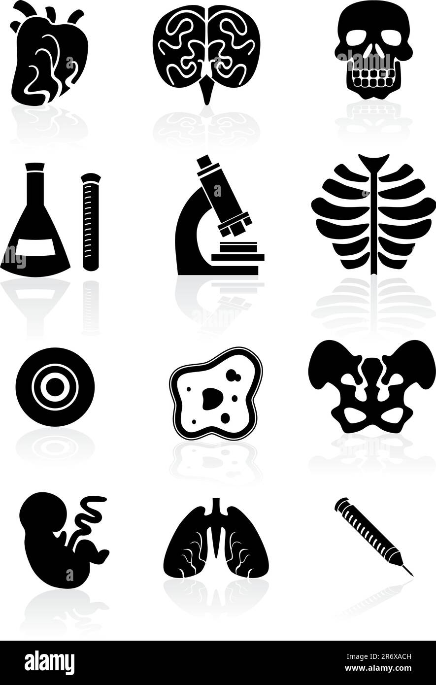 Biology themed buttons in a basic black color. Stock Vector