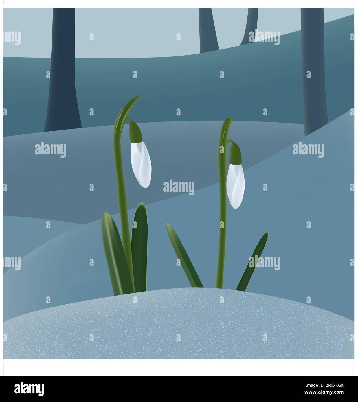 Two snowdrops on snow in early spring. Vector illustration. AI8 compatible eps file Stock Vector