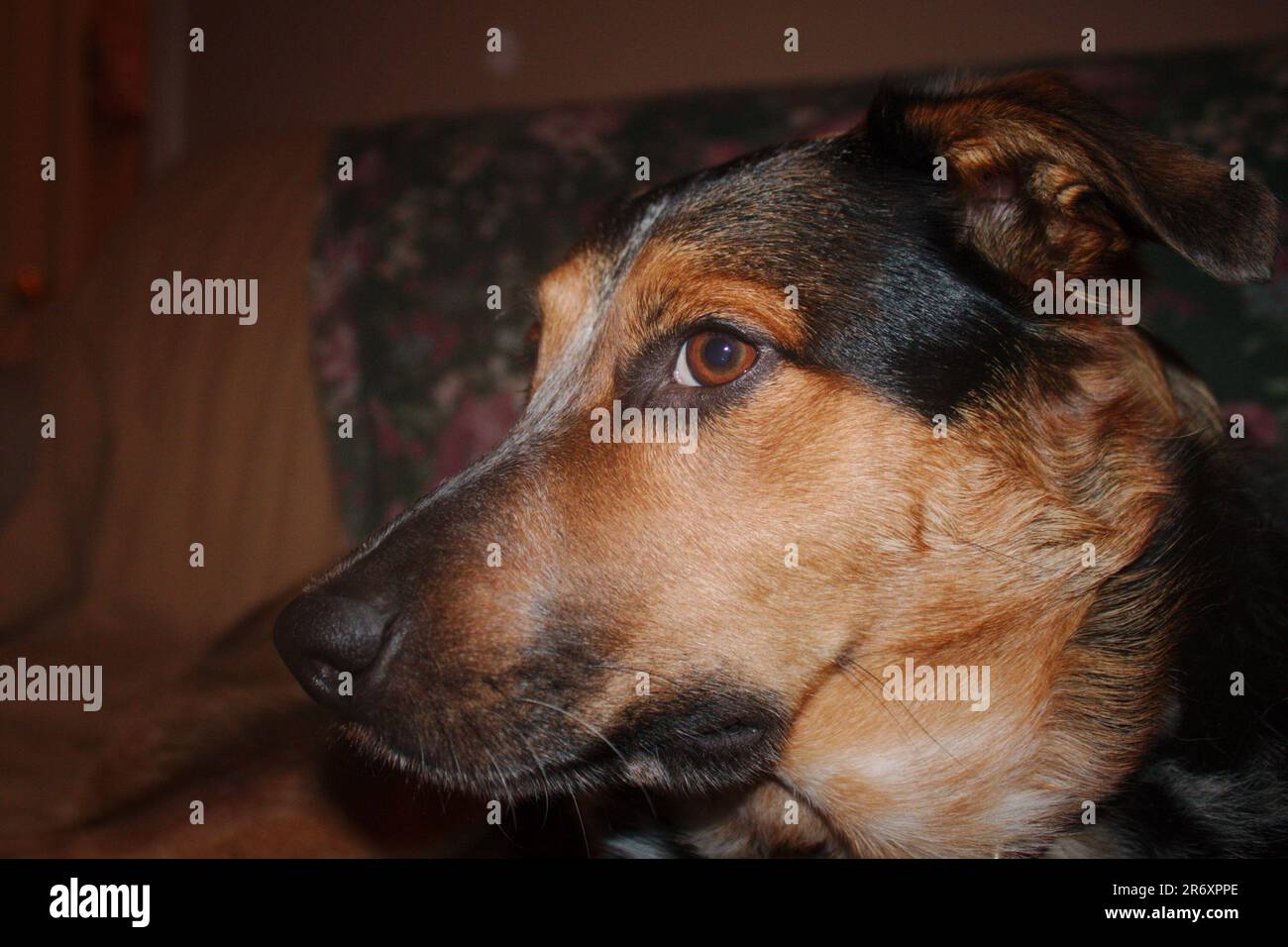 Glowing face hi-res stock photography and images - Alamy
