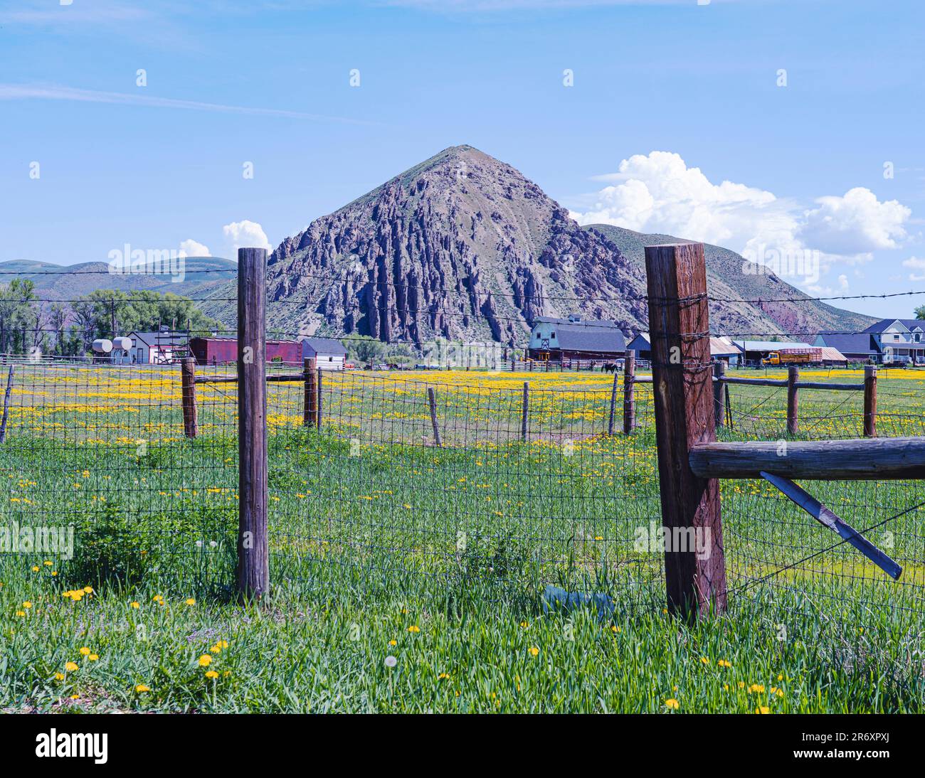 Framed with farmland fence you see buildings & mountains beyond the fields. Sky is blue with white clouds. Yellow flowers carpet the ground in spring. Stock Photo
