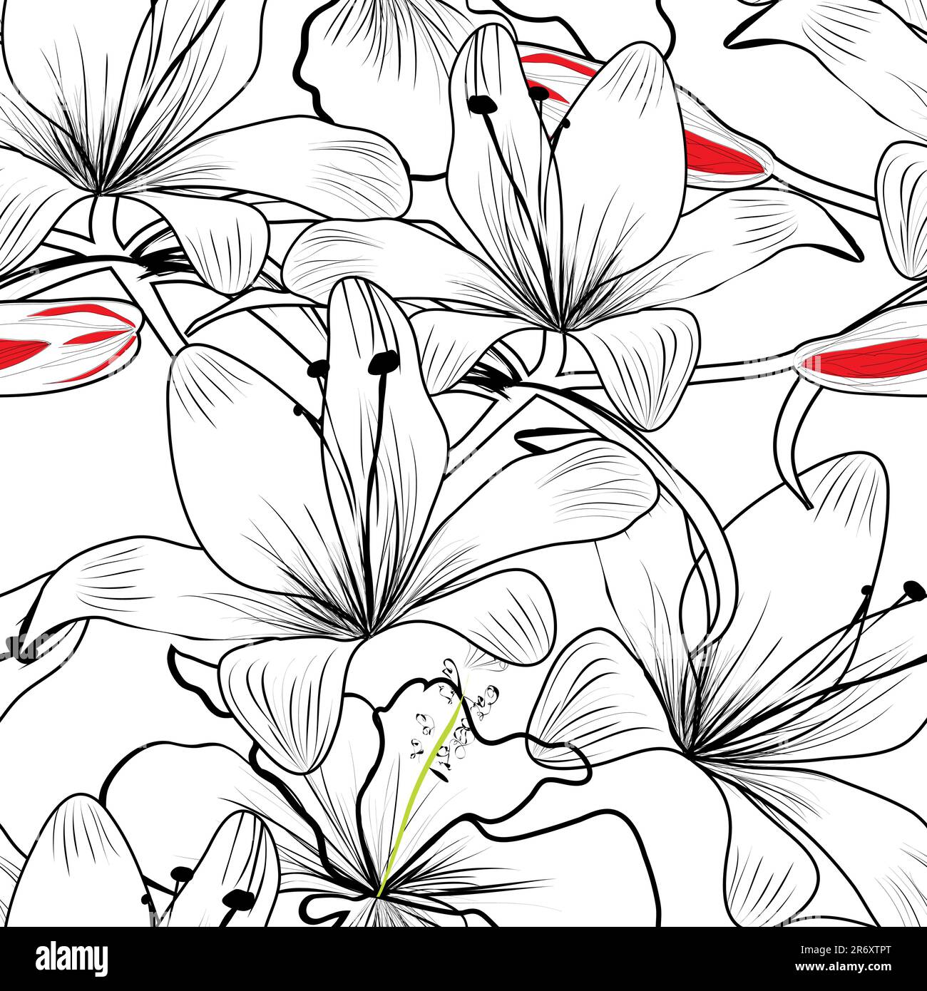Colorful image lily flowers Stock Vector Images - Alamy