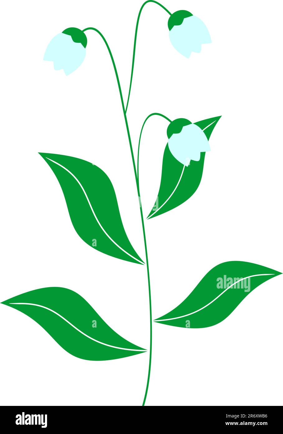 Vector illustration of lily of the valley Stock Vector Image & Art - Alamy