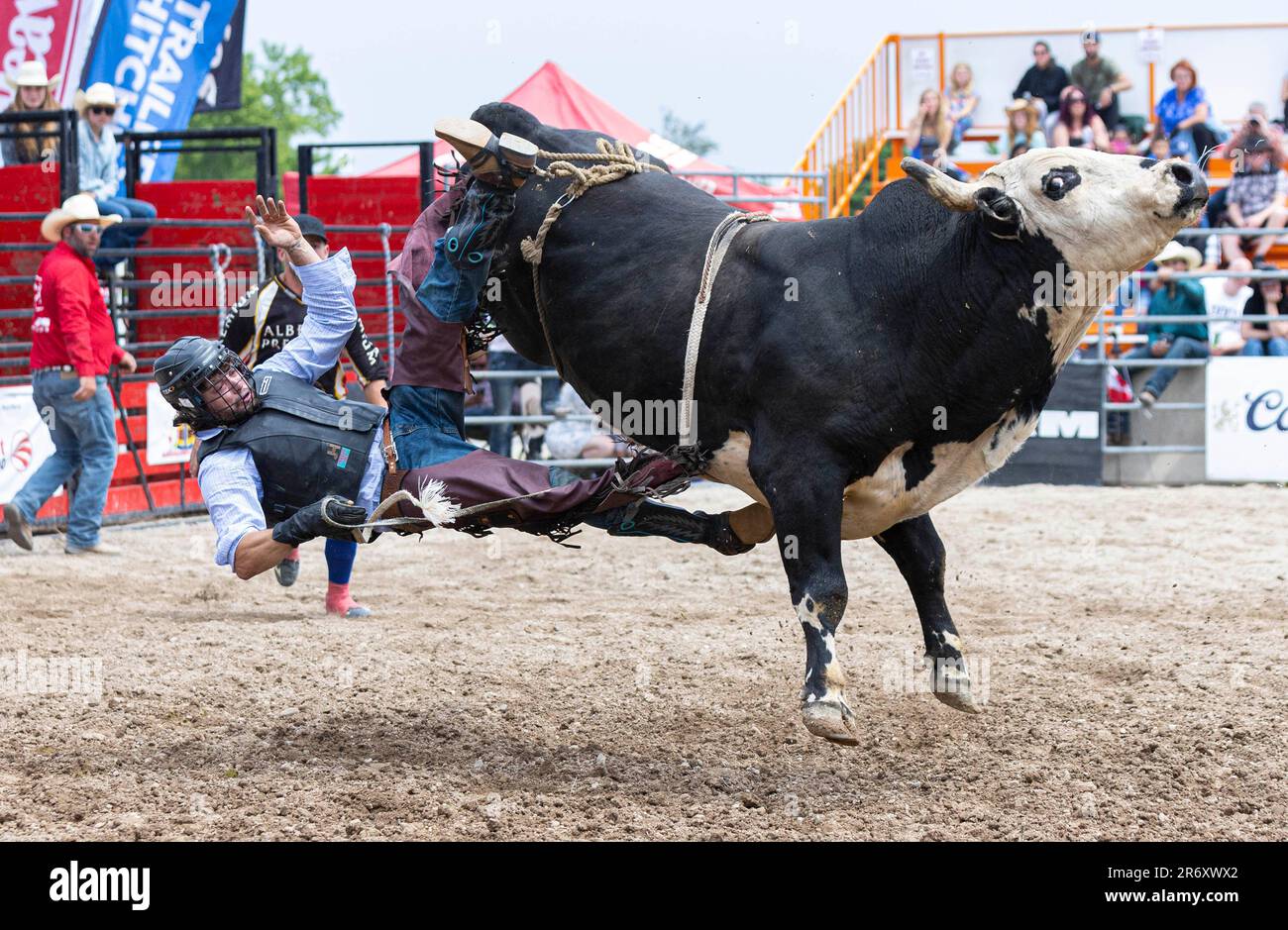 Ontario Rodeo Bull Riding Ram rodeo tour hi-res stock photography and images - Alamy