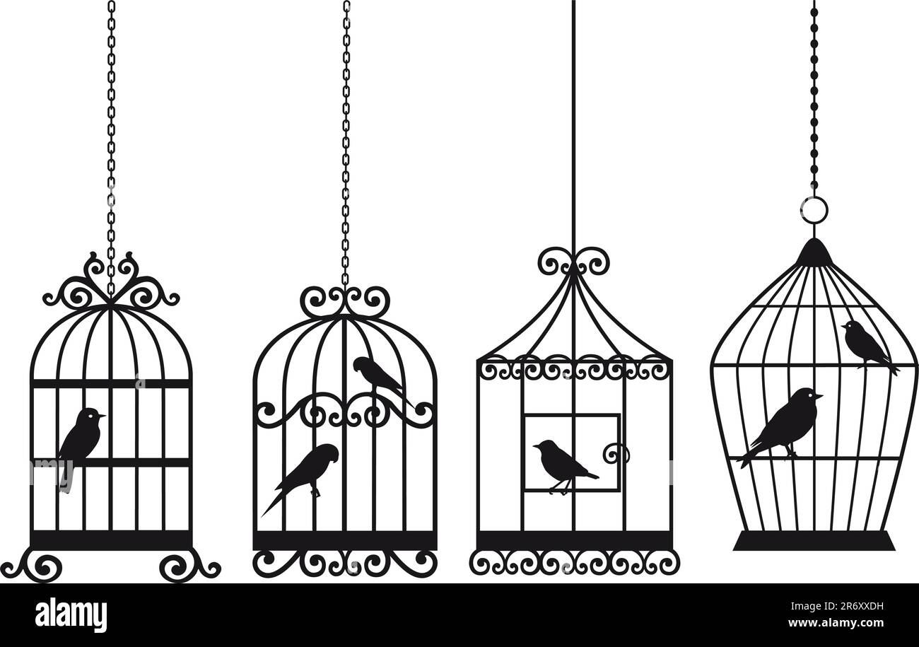 set of ornamental vintage birdcages with birds, vector background Stock ...