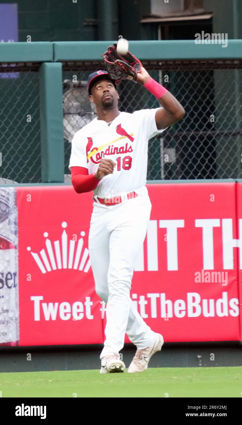 St. Louis, United States. 11th June, 2023. St. Louis Cardinals right fielder Jordan Walker makes a catch for an out on Cincinnati Reds Curt Casali in the fifth inning at Busch Stadium in St. Louis on Sunday, June 11, 2023. Photo by Bill Greenblatt/UPI Credit: UPI/Alamy Live News Stock Photo