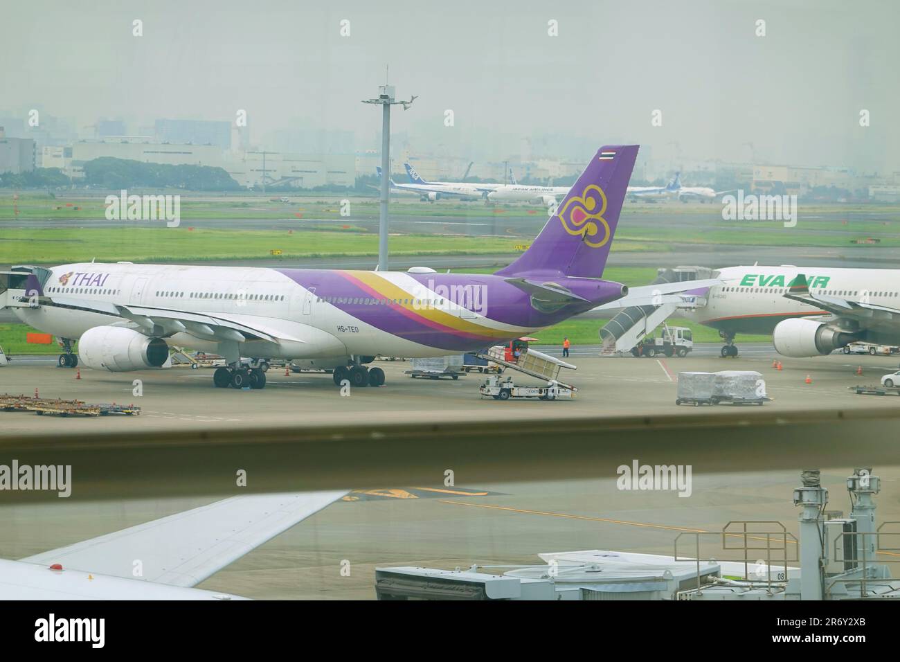 Thai Airways Flight TG683 (A330-300, Reg, HS-TEO), which collided with EVA Air Flight BR189 (A330-300, Reg. B-16340) at Haneda Airport, damaging the winglet on the right wing tip, on June 10, 2023. (Photo by Tadayuki YOSHIKAWA/Aviation Wire) Stock Photo