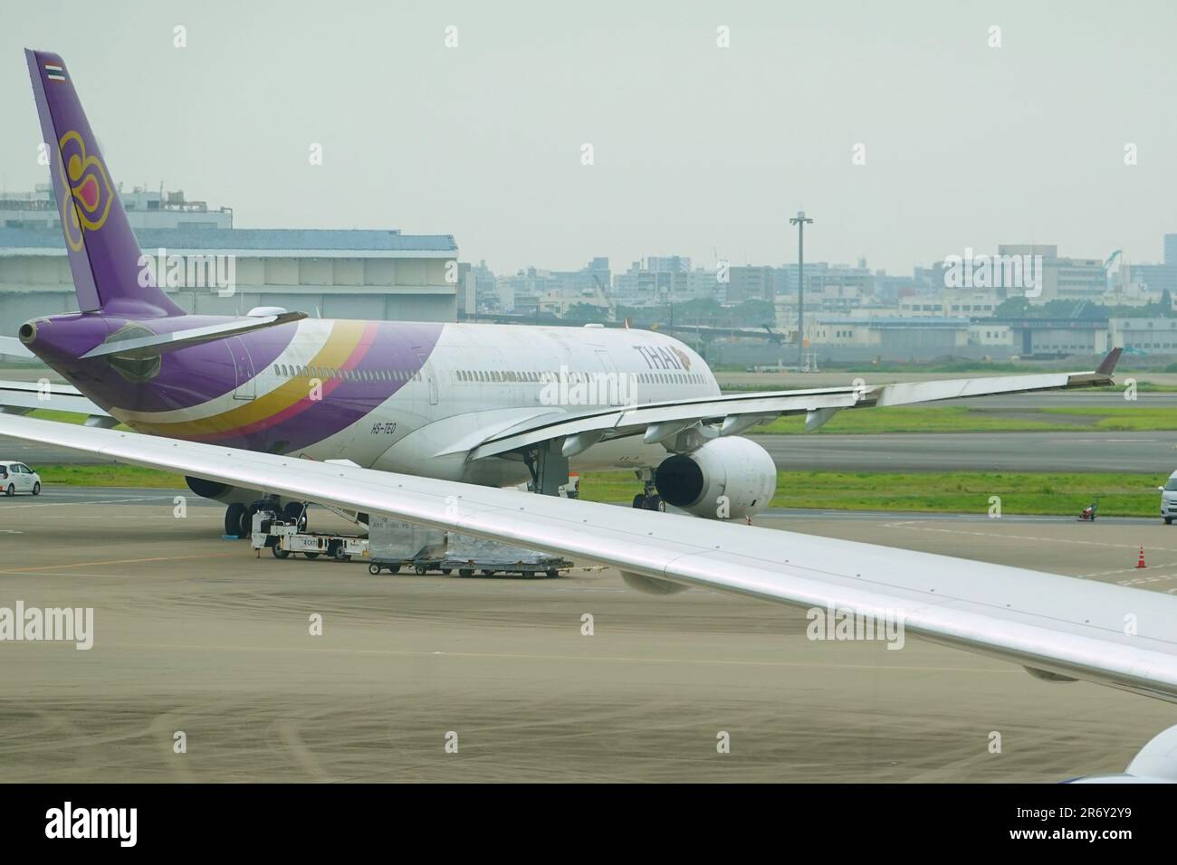 Thai Airways Flight TG683 (A330-300, Reg, HS-TEO), which collided with EVA Air Flight BR189 (A330-300, Reg. B-16340) at Haneda Airport, damaging the winglet on the right wing tip, on June 10, 2023. (Photo by Tadayuki YOSHIKAWA/Aviation Wire) Stock Photo