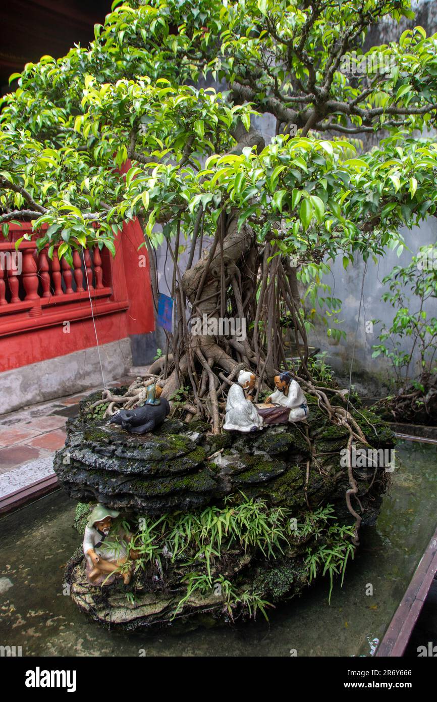 At Hanoi, Vietnam, On, 2-09-2019, Bonsai with minatures in the Temple of  literature or Van Miu, dedicated to Confucius and hosting Vietnam's first  Stock Photo - Alamy