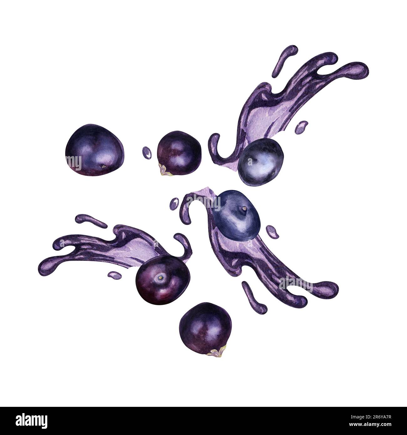 Acai berries on juice splash watercolor illustration isolated on white