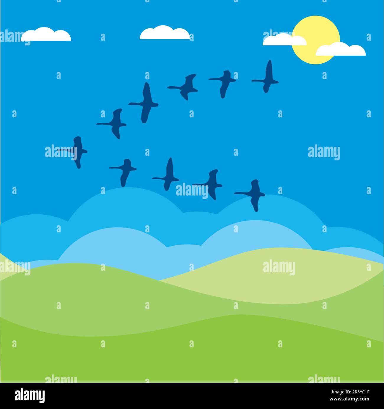 Birds migratory vector illustration cartoon Stock Vector Image & Art