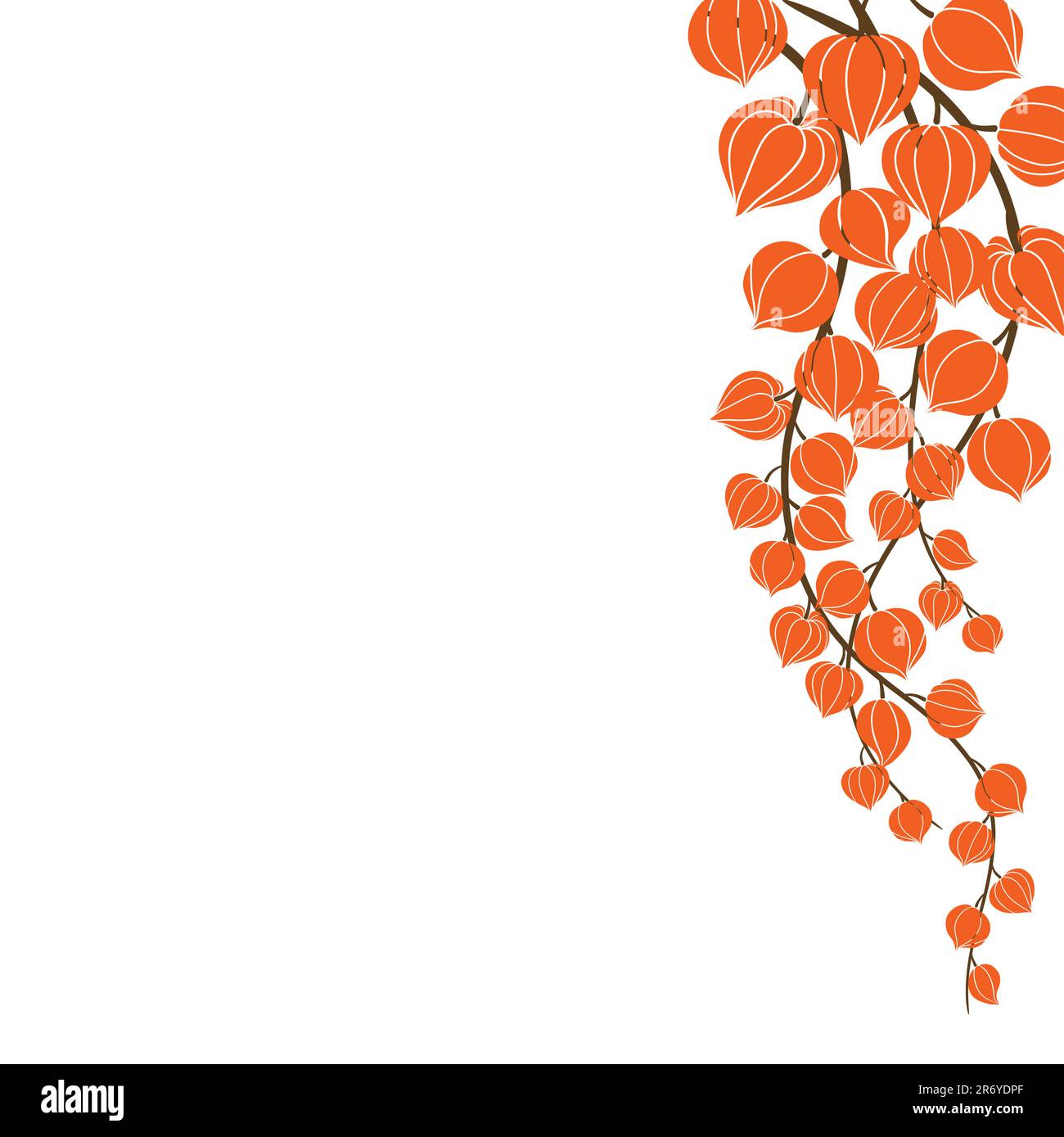 Beautiful orange flowers on a white background.Vector Stock Vector ...