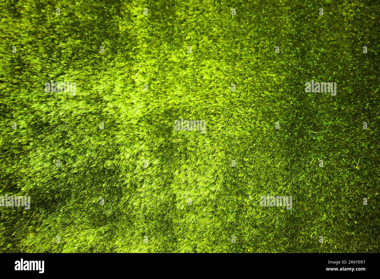 plastic green grass carpet texture as very nice background Stock Photo