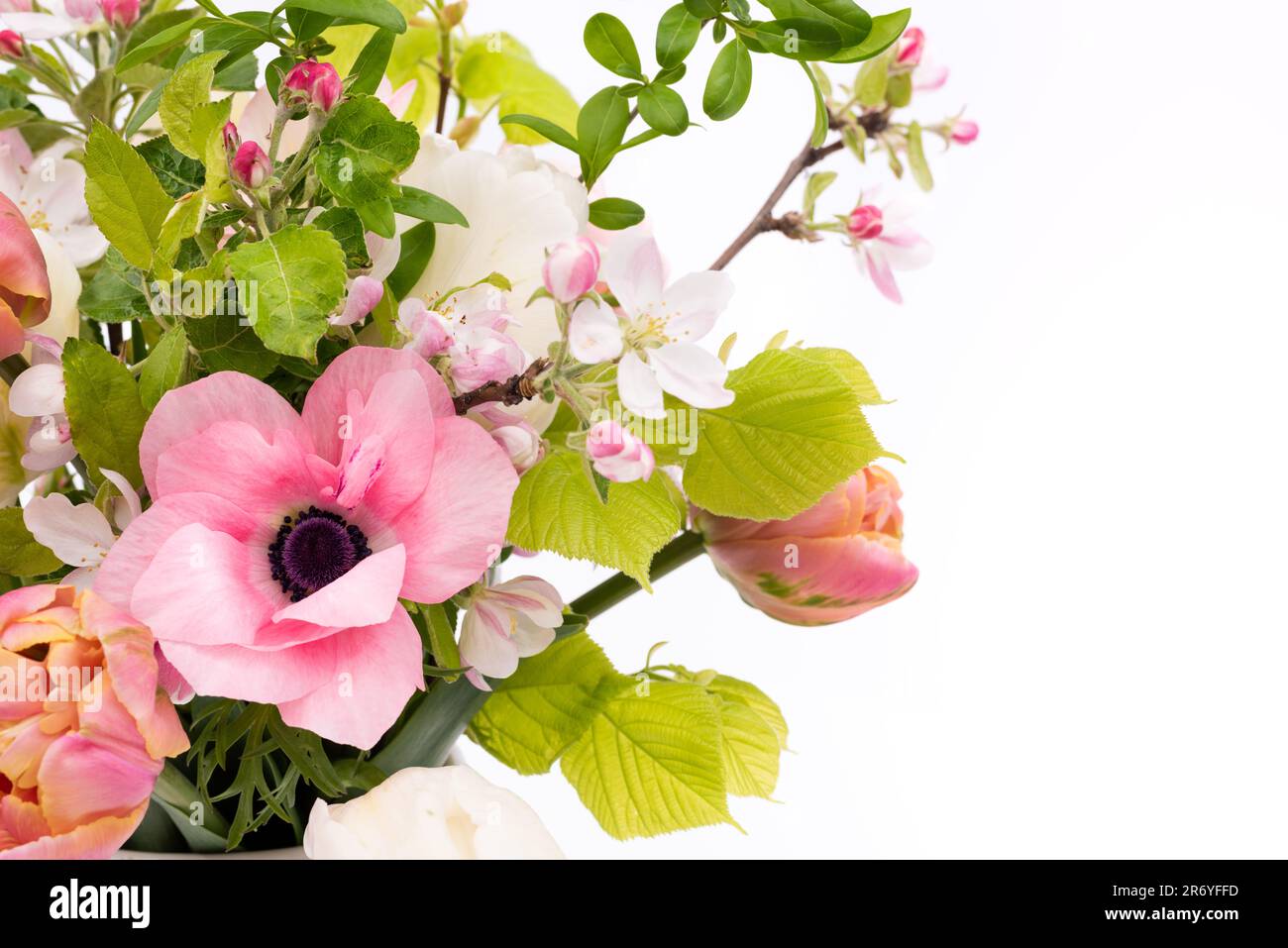 Elegant mixed pastel colored spring bouquet on white background with copy space. Spring tulips. Tulips bouquet. Stock Photo